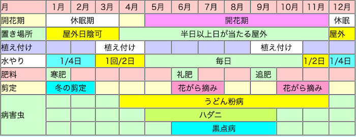 ミニバラの栽培カレンダー