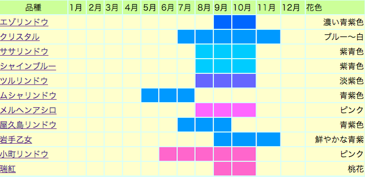 リンドウ観賞期間