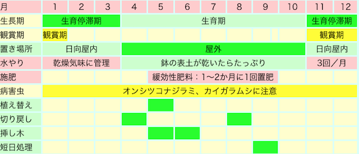 カランコエの栽培カレンダー