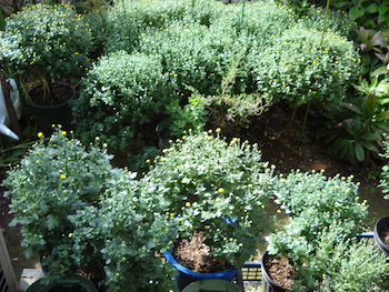 2023年管理人の10月の様子