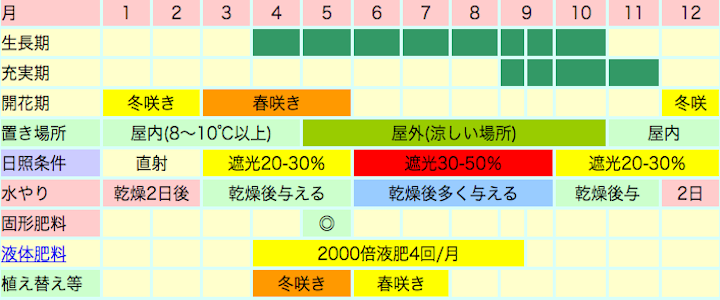 冬咲き・春咲き種カトレアの栽培カレンダー
